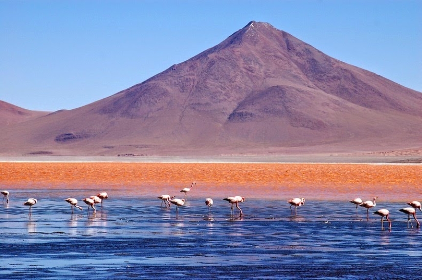 Laguna Sangrienta en Bolivia Laguna Sangrienta en Bolivia