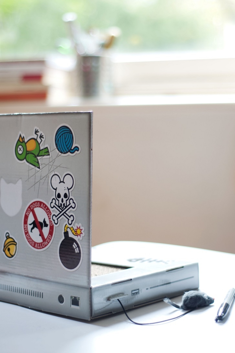 Laptop para gatos - lo que necesitas
