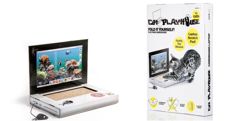 Laptop para gatos - lo que necesitas