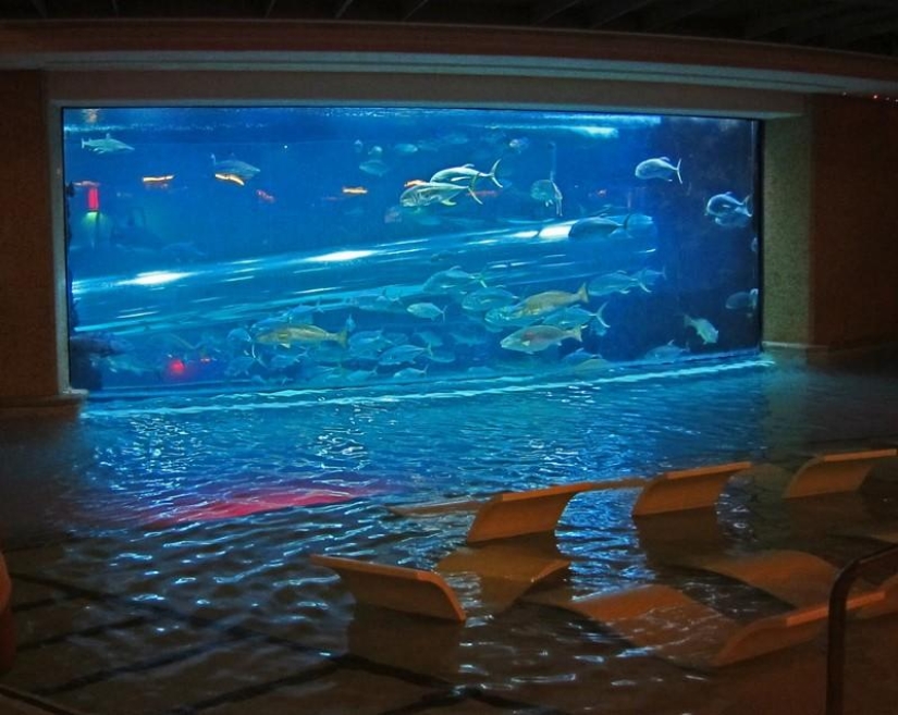 Las 10 piscinas de hotel más increíbles del mundo