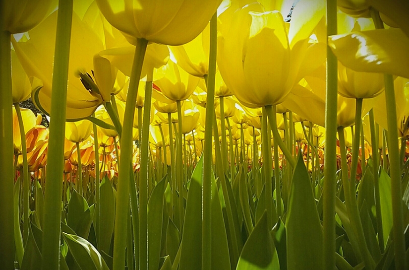 las 14 mejores obras del concurso de fotografía infantil de National Geographic