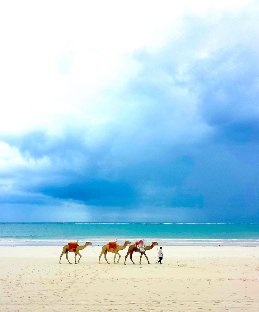las 14 mejores obras del concurso de fotografía infantil de National Geographic