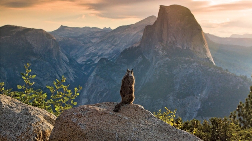 Las 20 fotos de aventuras más impresionantes del año