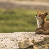 Las 20 mejores instantáneas de octubre de National Geographic