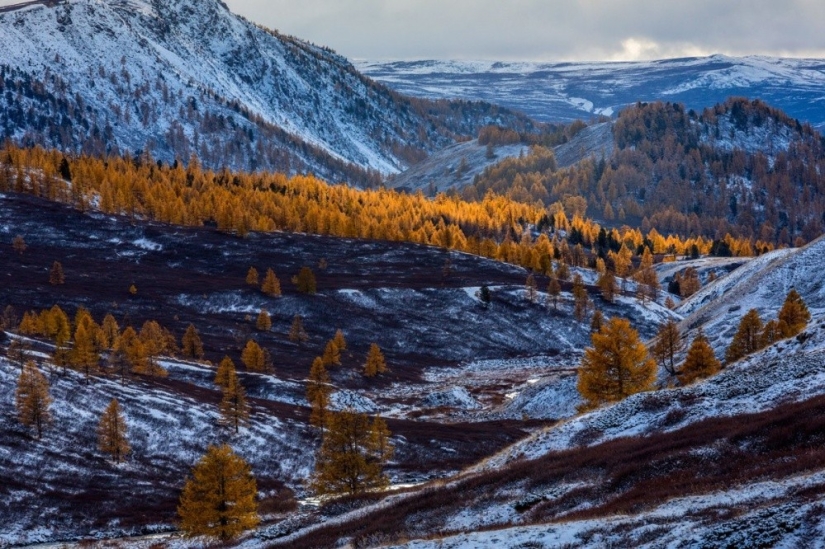 Las 20 mejores instantáneas de octubre de National Geographic Las 20 mejores instantáneas de octubre de National Geographic