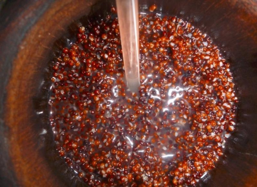 Las bebidas alcohólicas más extrañas del mundo Las bebidas alcohólicas más extrañas del mundo