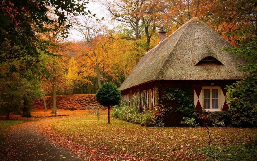 Las casas más bonitas del bosque.
