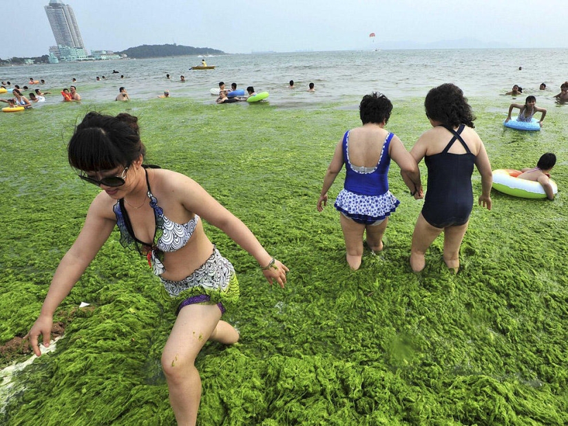 Las fotos científicas más increíbles del año saliente