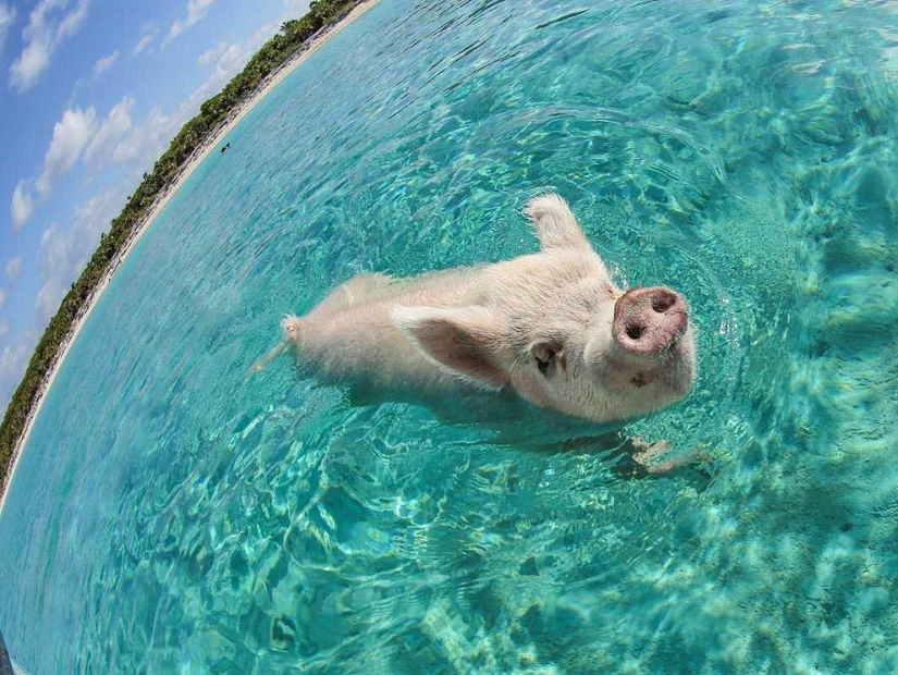Las fotos científicas más increíbles del año saliente