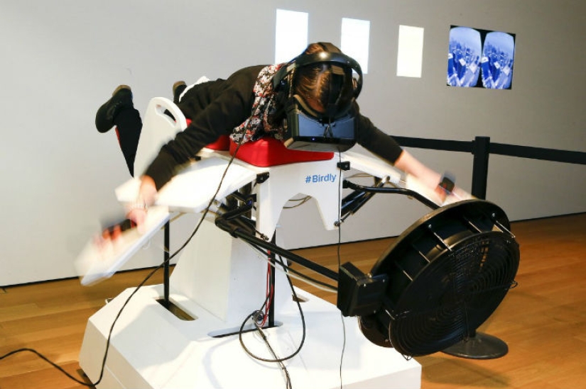 Las fotos más curiosas y divertidas de 2015 Las fotos más curiosas y divertidas de 2015