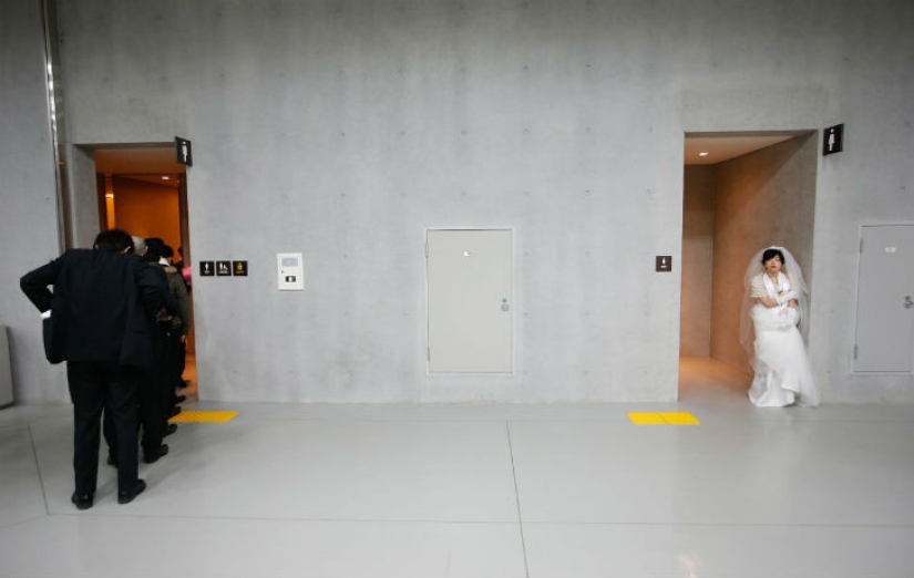 Las fotos más curiosas y divertidas de 2015 Las fotos más curiosas y divertidas de 2015