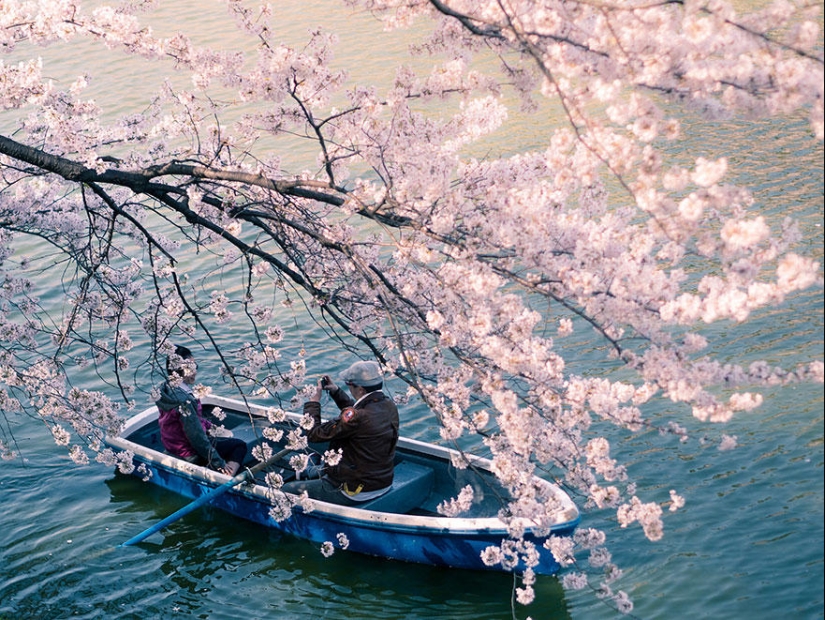 Las fotos más hermosas de Steve McCurry de todo el mundo Las fotos más hermosas de Steve McCurry de todo el mundo