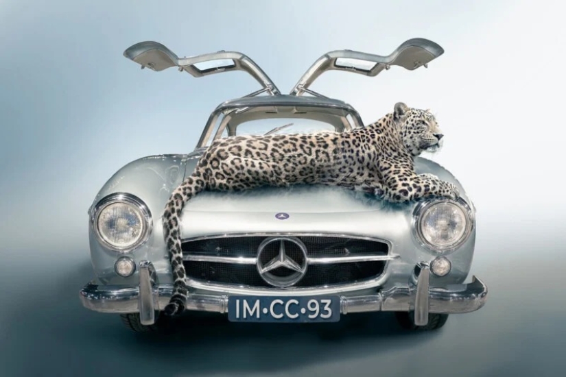 Las hermosas imágenes ganadoras de los Siena Creative Photo Awards 2023