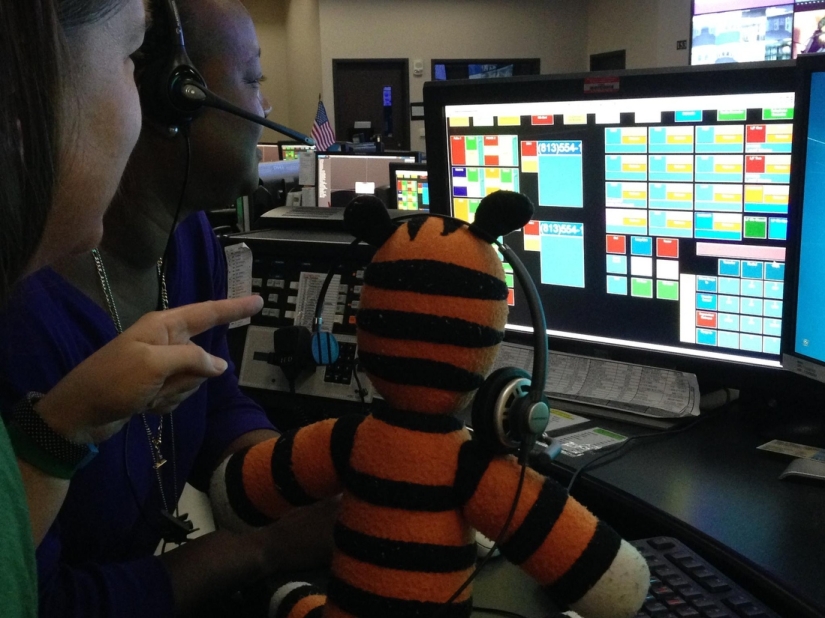 Las locas aventuras de un tigre olvidado en el aeropuerto de Tampa Las locas aventuras de un tigre olvidado en el aeropuerto de Tampa