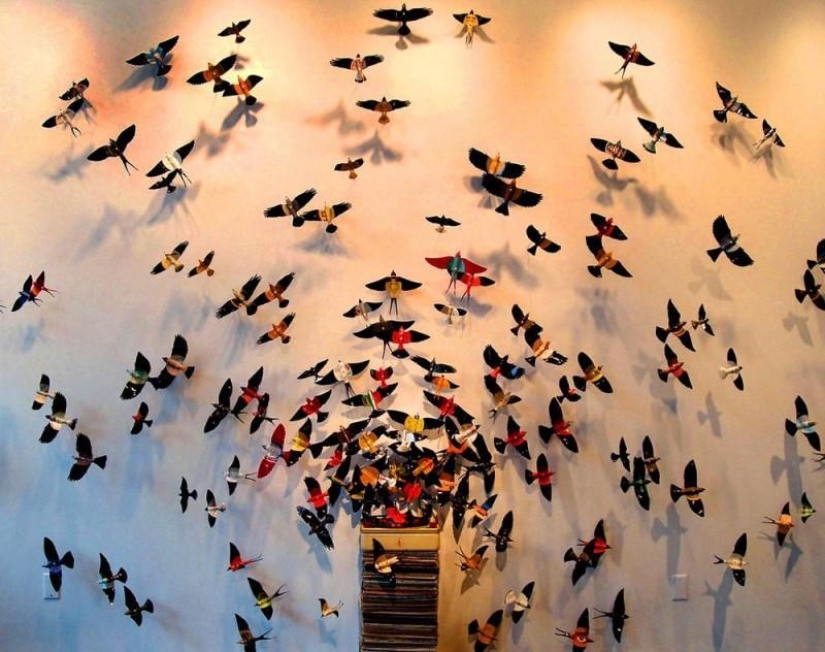 Las mariposas como arte