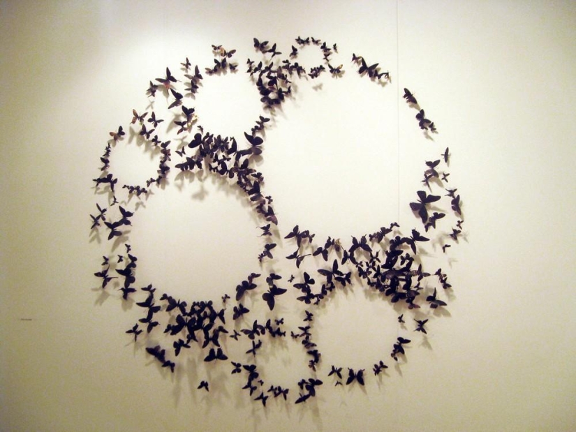 Las mariposas como arte