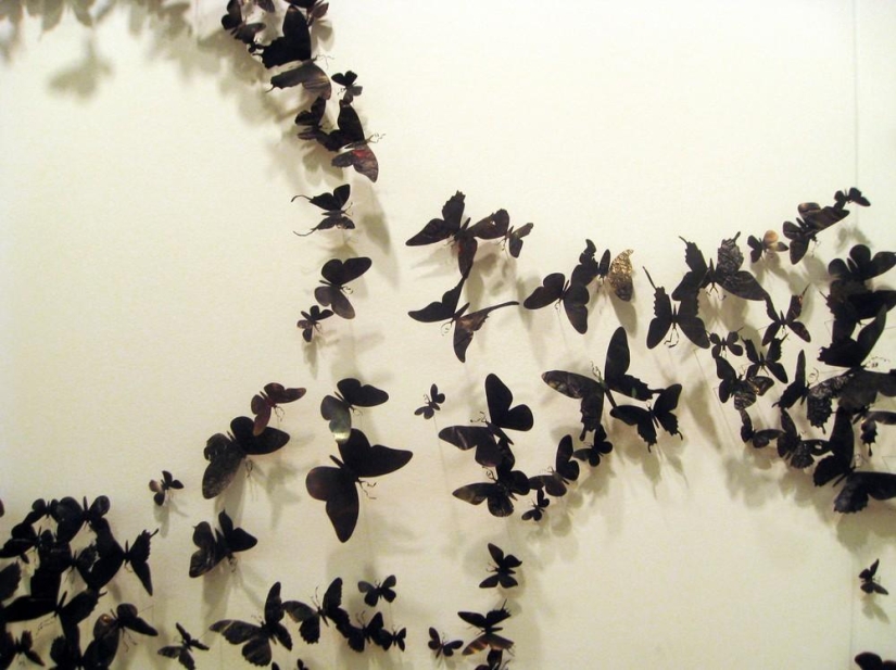 Las mariposas como arte