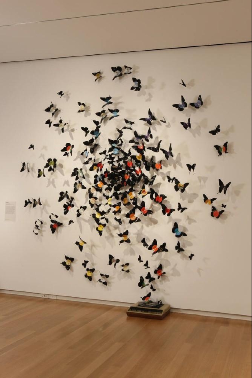 Las mariposas como arte