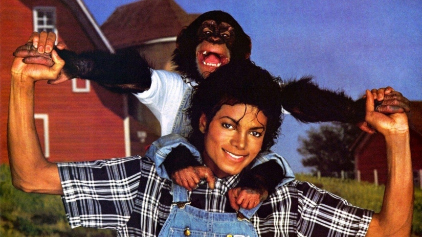 Las mascotas de celebridades más inusuales