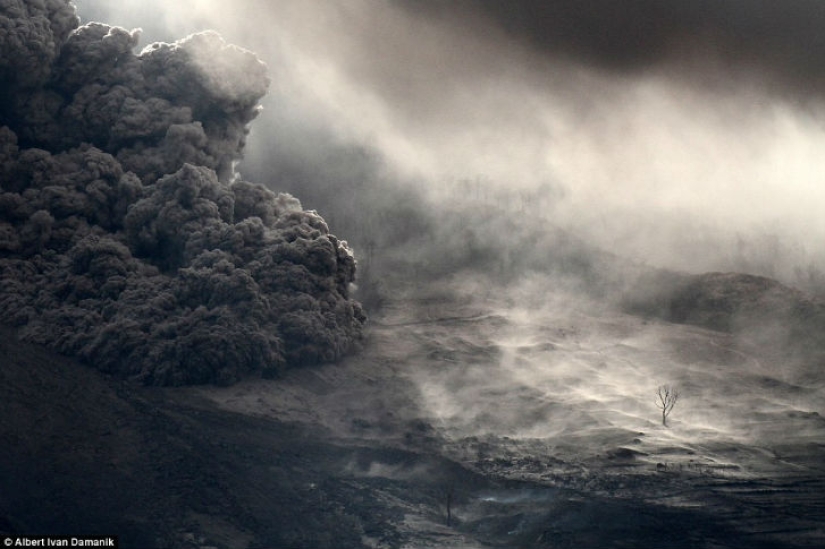 Las mejores entradas del concurso de fotografía del Smithsonian