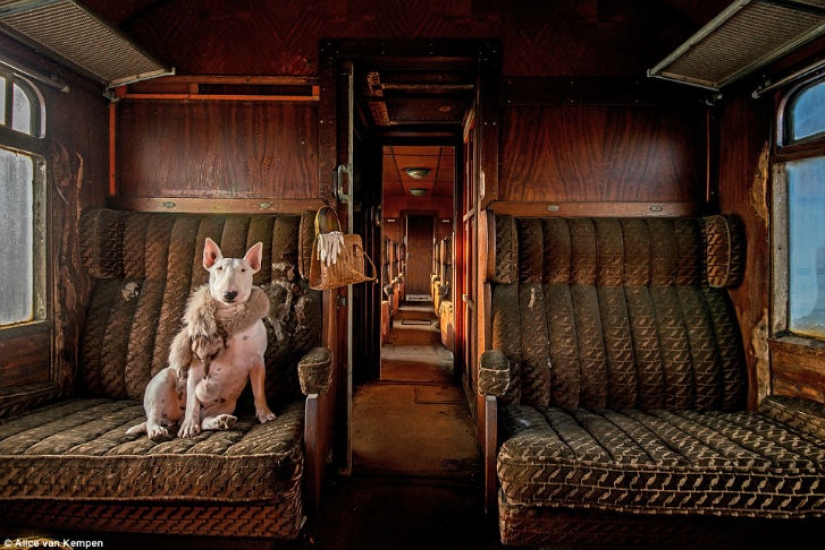 Las mejores entradas del concurso de fotografía del Smithsonian