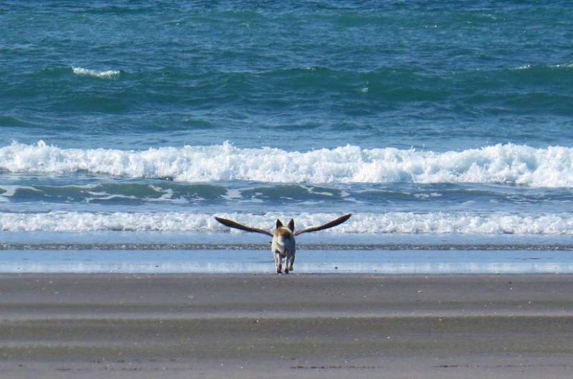 Las mejores fotos de 2013 tomadas en el momento más oportuno