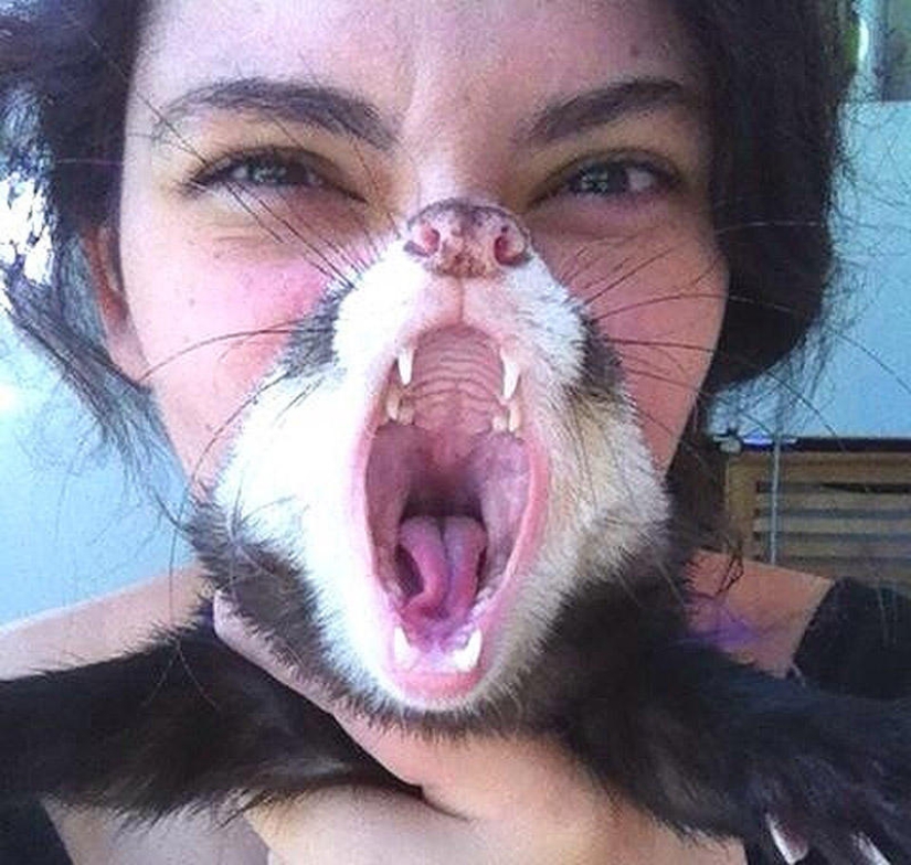 Las mejores fotos de 2013 tomadas en el momento más oportuno