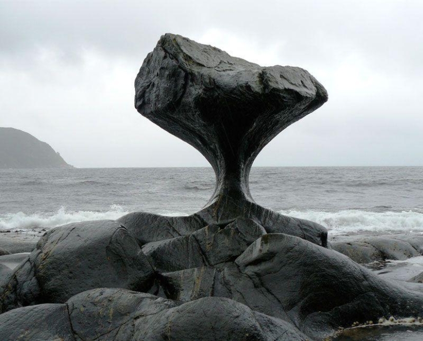 Las mejores fotos de 2013 según la revista Twistedsifter