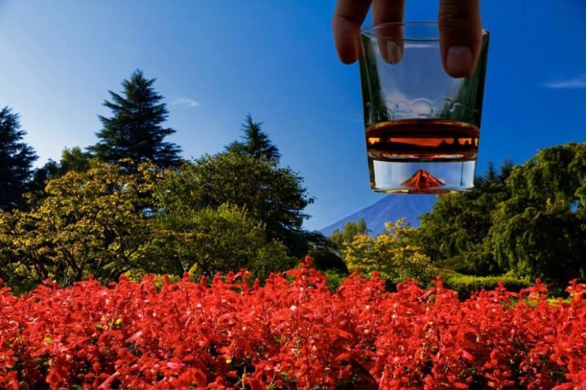 Las mejores fotos de 2013 según la revista Twistedsifter