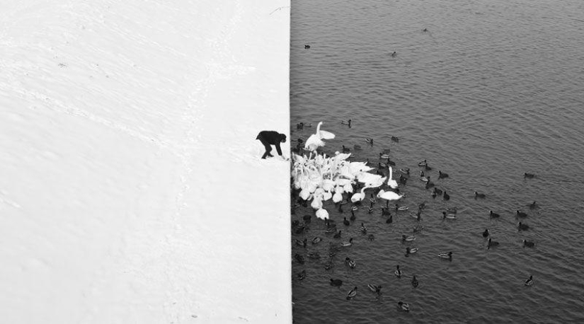 Las mejores fotos de 2013 según la revista Twistedsifter
