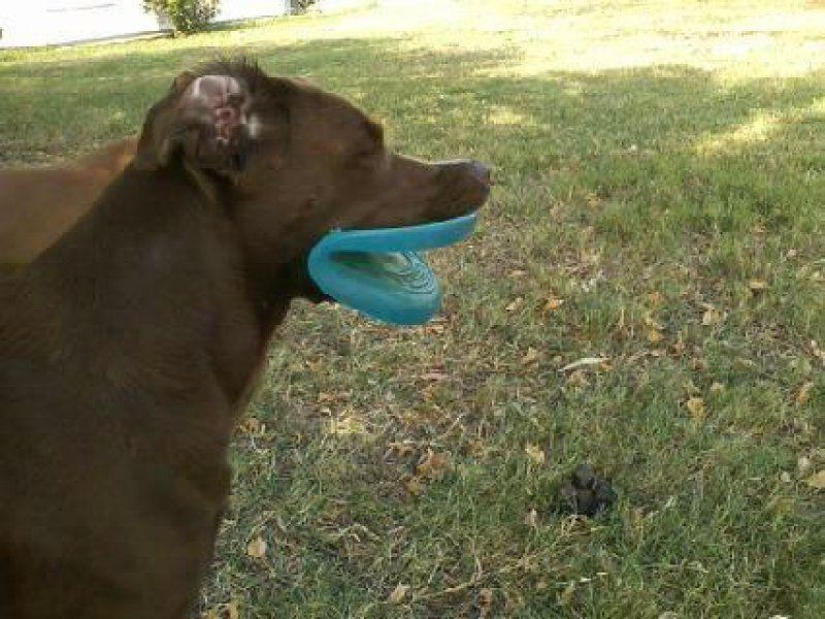 Las mejores fotos de 2013 tomadas en el momento más oportuno