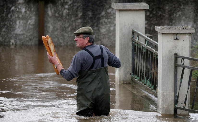 Las mejores fotos de 2016 según Reuters
