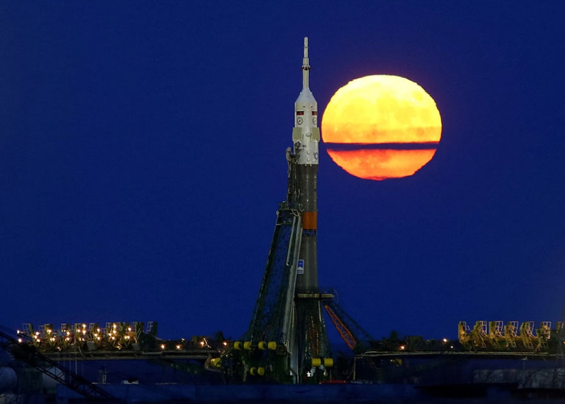 Las mejores fotos de 2016 según Reuters