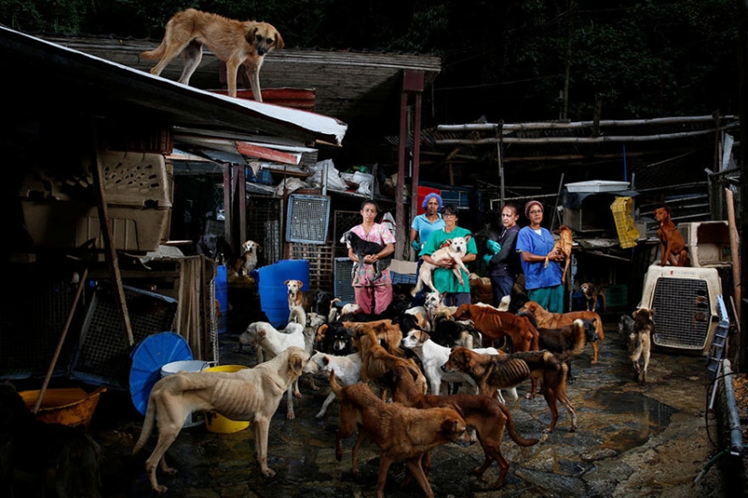 Las mejores fotos de 2016 según Reuters