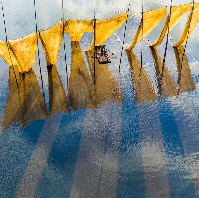 Las mejores fotos de 2016 según Reuters
