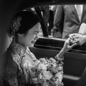 Las mejores fotos de animales salvajes de 2013