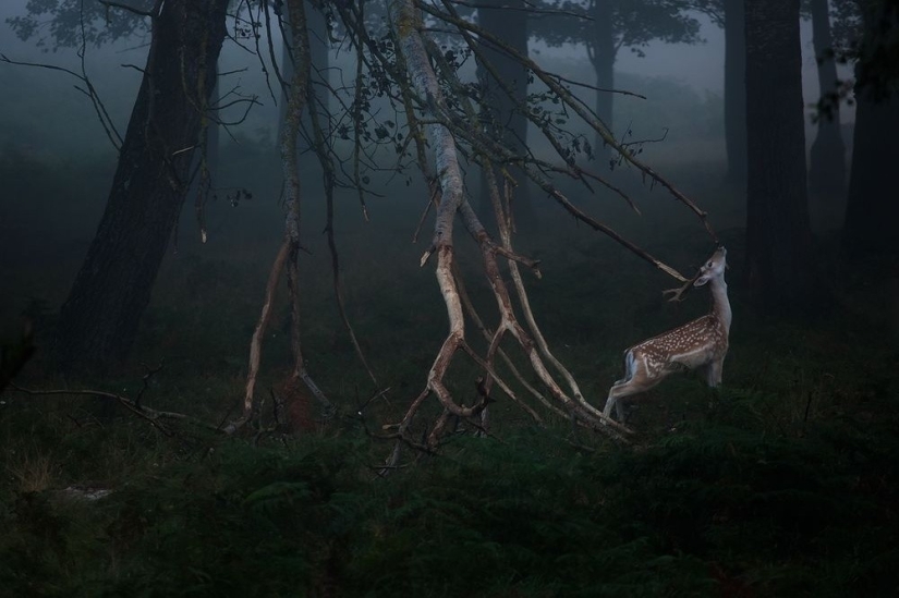 Las mejores fotos de National Geographic de septiembre Las mejores fotos de National Geographic de septiembre
