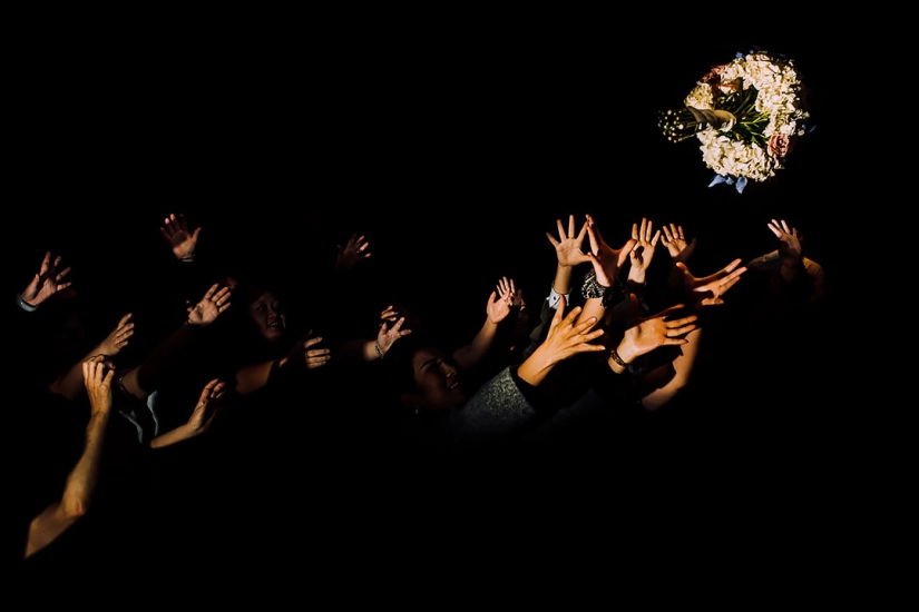 Las mejores fotos de &quot;Vizhulitsa&quot; para 2013