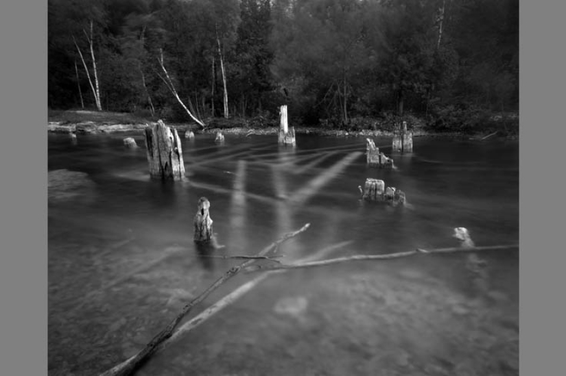 Las mejores fotos del año tomadas con cámaras malas y baratas