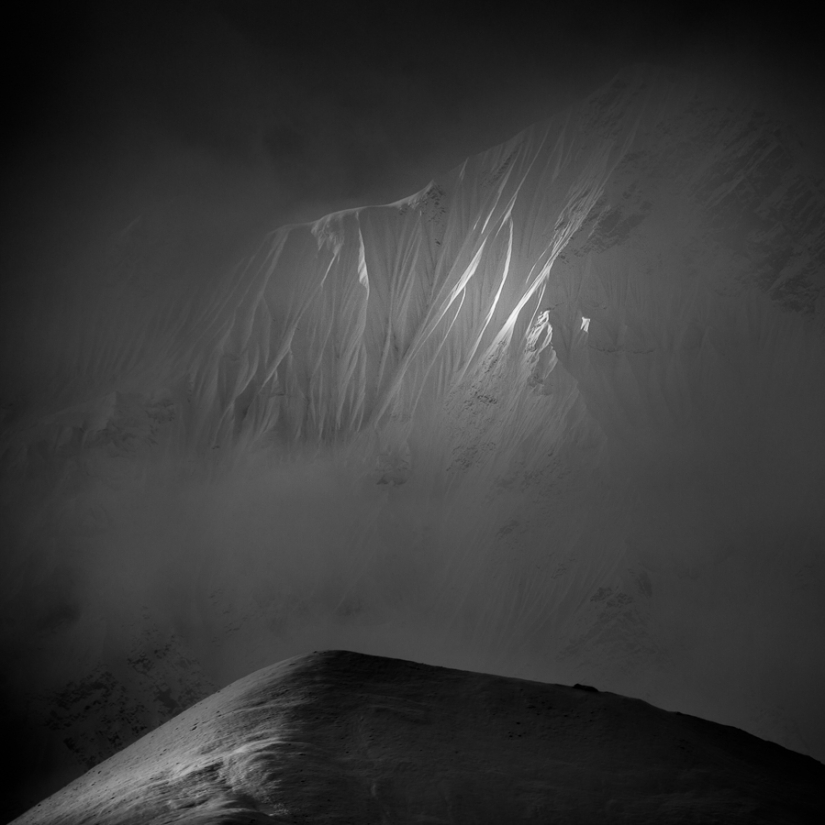 Las mejores fotos en blanco y negro de 2016 Las mejores fotos en blanco y negro de 2016