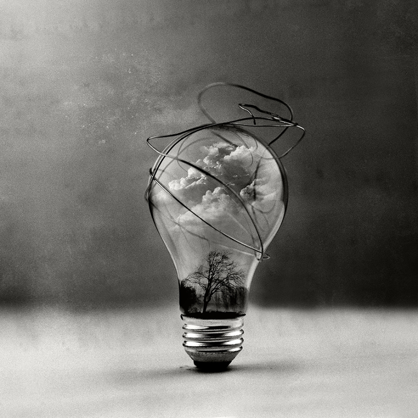 Las mejores fotos en blanco y negro de 2016 Las mejores fotos en blanco y negro de 2016