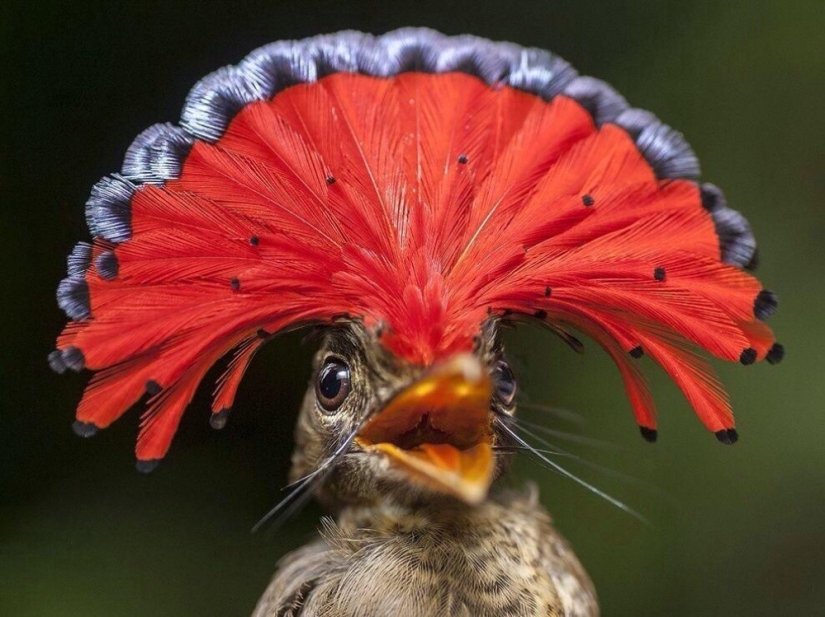 Las mejores tomas del año de National Geographic Las mejores tomas del año de National Geographic