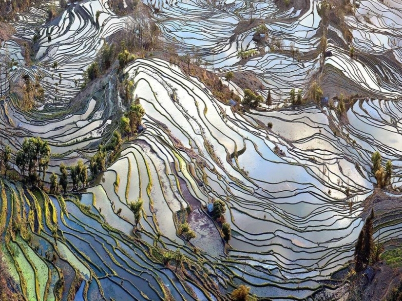 Las mejores tomas del año de National Geographic Las mejores tomas del año de National Geographic