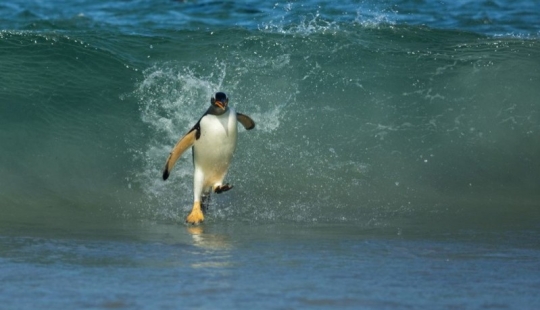 Las mejores tomas del año de National Geographic