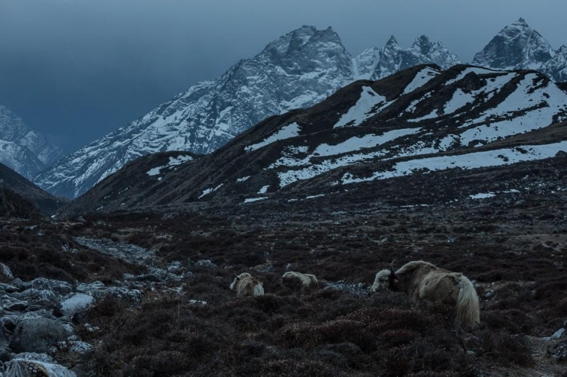 Las montañas son mejores que las montañas.