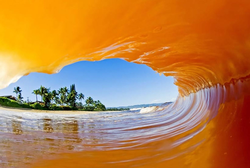 Las olas hawaianas más hermosas de Clark Little