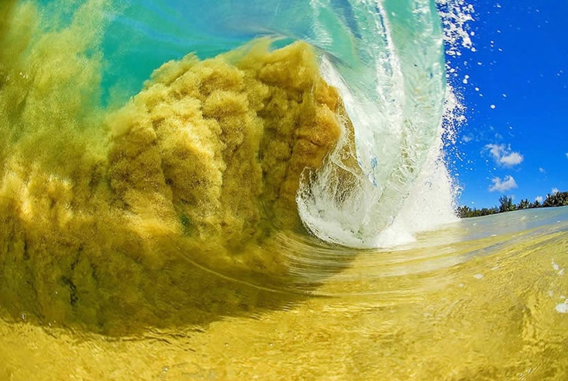 Las olas hawaianas más hermosas de Clark Little