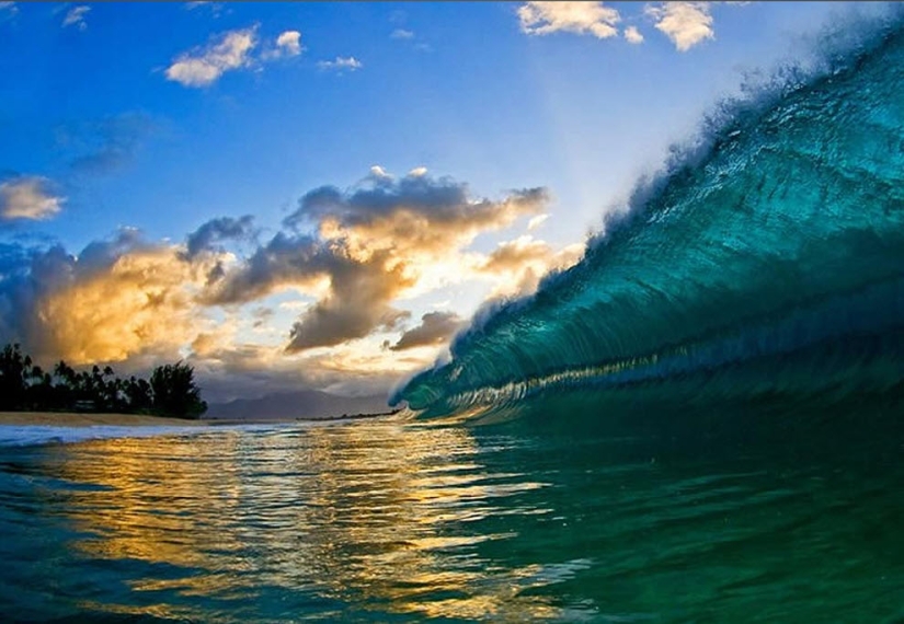 Las olas hawaianas más hermosas de Clark Little