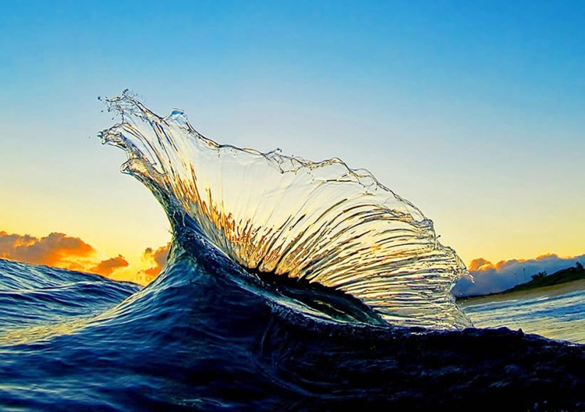 Las olas hawaianas más hermosas de Clark Little