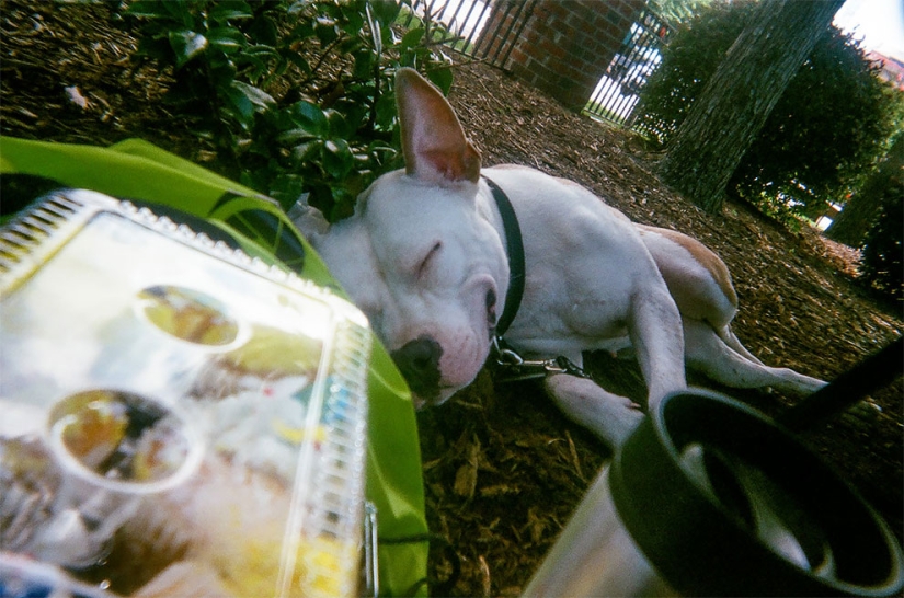 Las personas sin hogar recibieron 100 cámaras para tomar fotografías de sus vidas Las personas sin hogar recibieron 100 cámaras para tomar fotografías de sus vidas